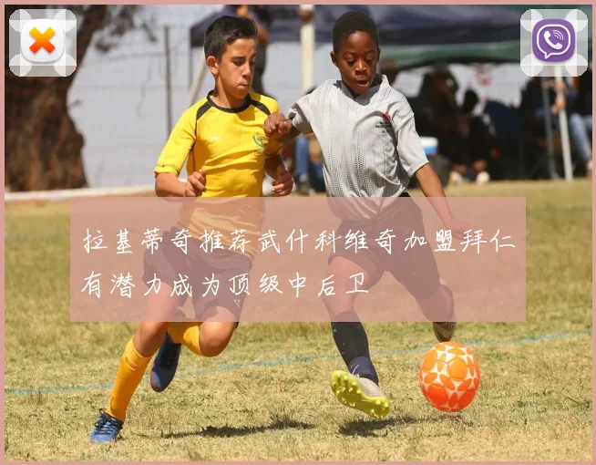 拉基蒂奇推荐武什科维奇加盟拜仁有潜力成为顶级中后卫